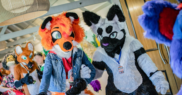 FurcoNZ Hotel 2024: Convention Report!