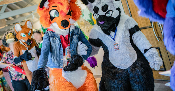 FurcoNZ Hotel 2024: Convention Report!