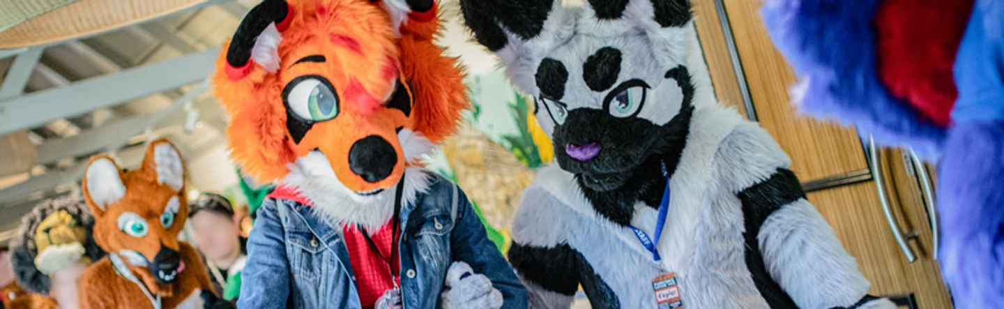 FurcoNZ Hotel 2024: Convention Report!